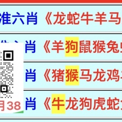 新凹菜【 298 】期